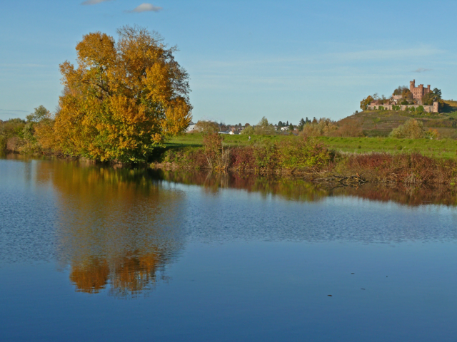 Foto: Alfred Schramm