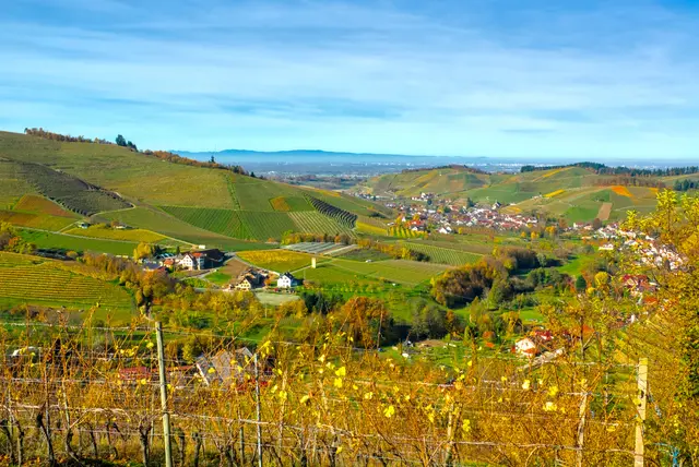 Ein besonders klarer Herbsttag. Die Vogesen ganz nah.