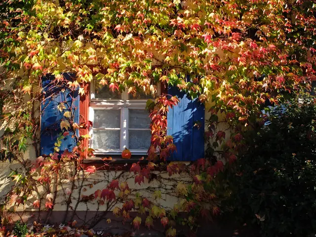 Foto: Alfred Schramm