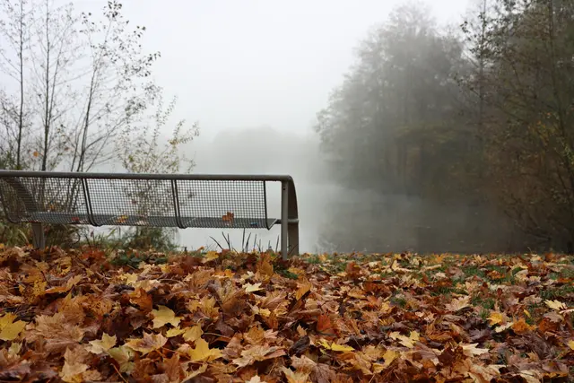 Max Jordan See / Urloffen