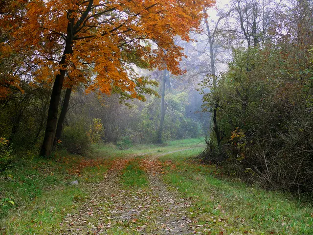 Foto: Alfred Schramm