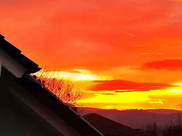 .. am 19.12.25 / 8:15 Uhr 