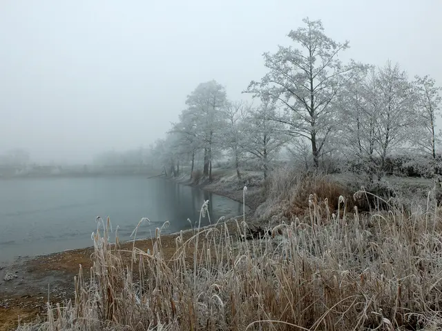 Foto: Alfred Schramm