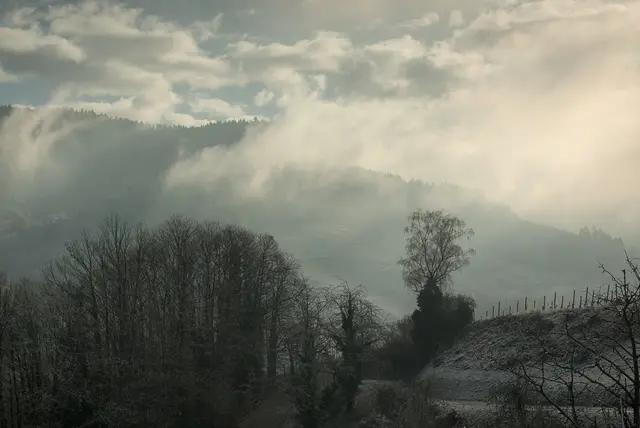 ... Nebel, Raureif, Kälte: trotzdem SCHÖÖN! 

