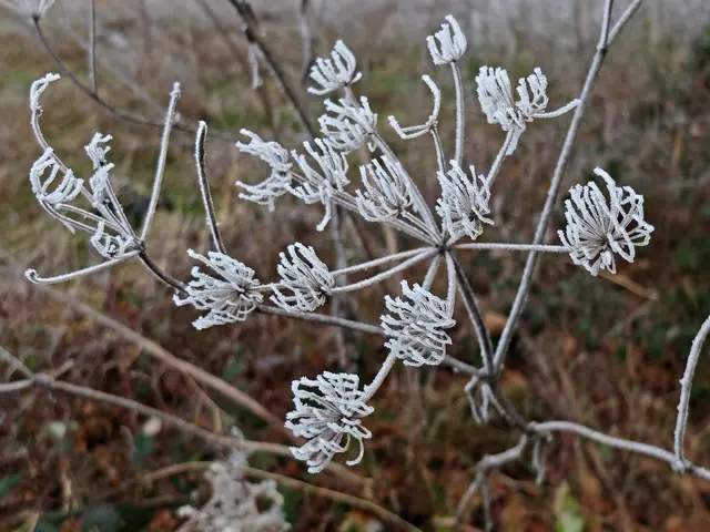 Auch kalte, frostige Tage bieten schöne Naturmotive an. | Foto: Alfred Schramm