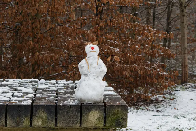 Beim Rundgang um den Stegmattensee erfreute mich das kreativ gemachte Schneemännchen