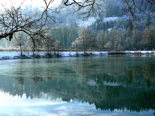 Foto: Alfred Schramm