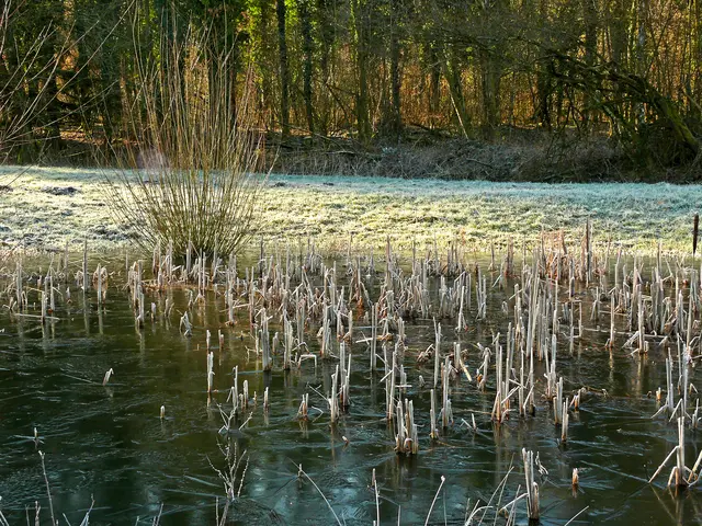 Foto: Alfred Schramm