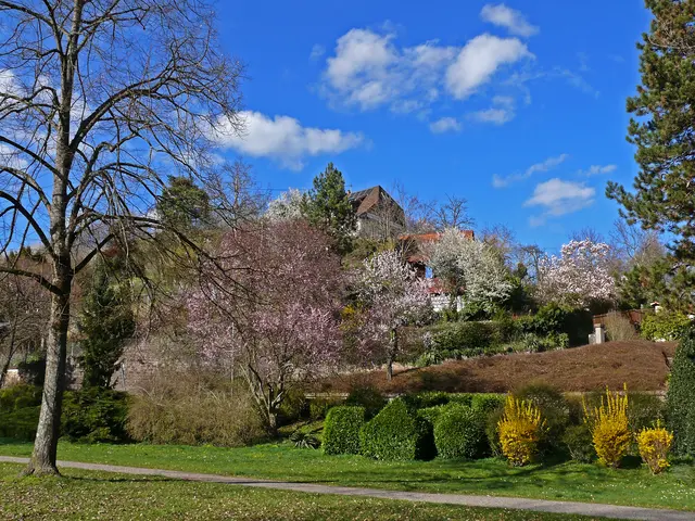Foto: Alfred Schramm