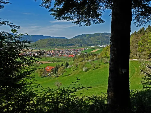 Foto: Alfred Schramm