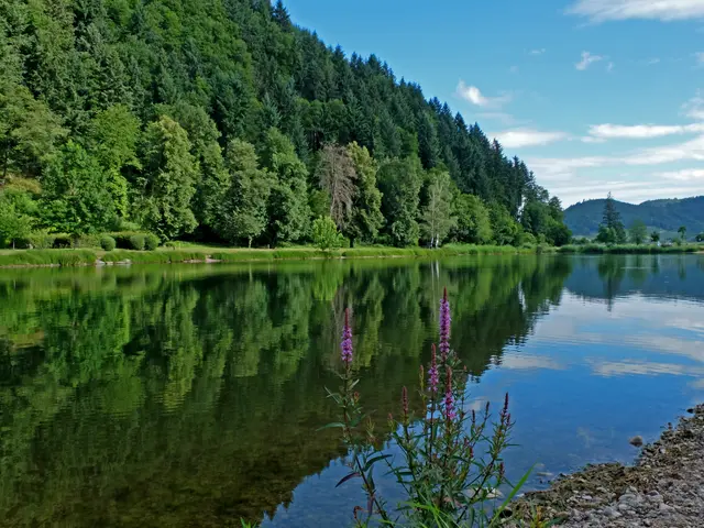 ...der vor langer Zeit ein Baggersee war und heute ein idealer Badesee ist. Ein Ort zum Verweilen und zum Fotografieren. | Foto: Alfred Schramm