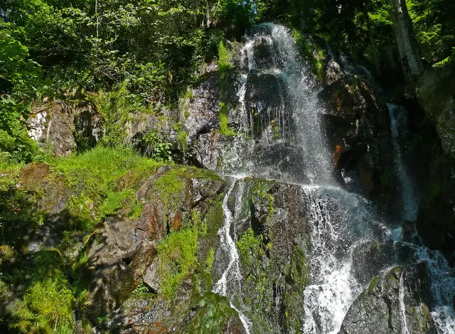 Ein sehenswerter mehrstufiger Wasserfall ist die Cascade du Hohwald. Diese befindet sich in der Nähe der elsässischen Ortschaft Le Hohwald.  Der Wasserfall soll im Sommer wegen seiner kühlenden Wirkung beliebt sein. Folglich würde sich ein Besuch bei den momentanen Temperaturen gewiss zwecks Abkühlung lohnen. Die Frage ist bloß: Fließt da noch genügend Wasser? 
Nun ja, es gibt auch genügend Wasserfälle bei uns.

 | Foto: Alfred Schramm