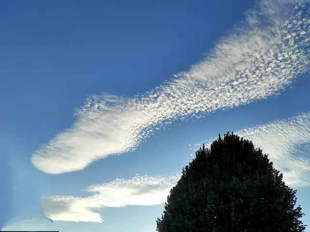 .. am 19.08.26 / 19:40 Uhr, über unsrer mayestätischen Linde.. 👍