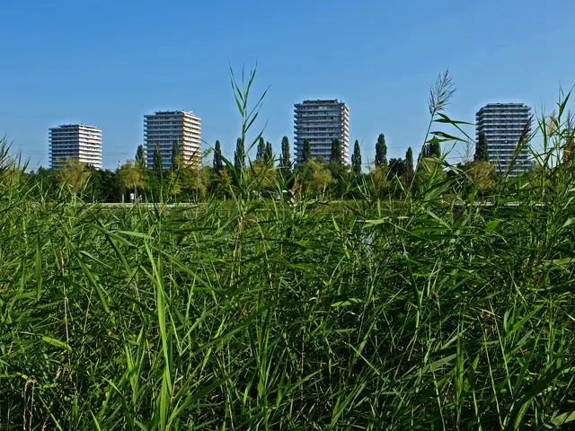 Die  mehrstöckigen Wohn-Hochhausblocks  in der Römerstraße in Lahr/Schwarzwald bilden ein markantes Wohn-Ensemble.  | Foto: Alfred Schramm
